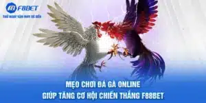 Mẹo Chơi Đá Gà Online Giúp Tăng Cơ Hội Chiến Thắng F88BET