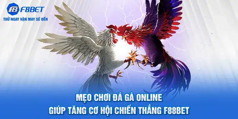 Mẹo Chơi Đá Gà Online Giúp Tăng Cơ Hội Chiến Thắng F88BET