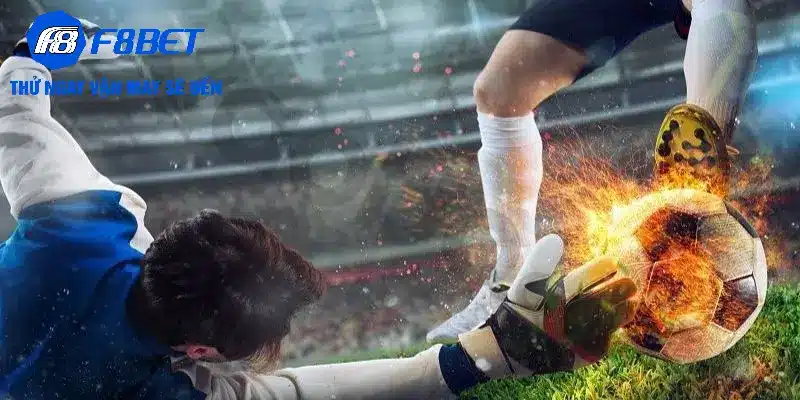 Giới thiệu về sảnh cá cược F88BET cơ bản